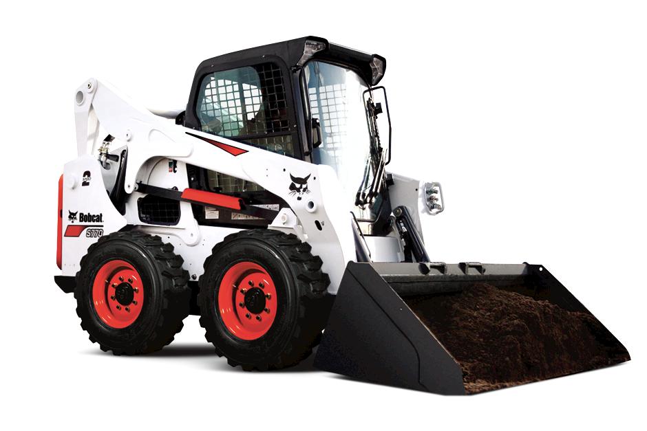 Bobcat